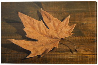 Dry Maple Leaf With Drops, On Wooden Background Canvas - Painting (400x400)