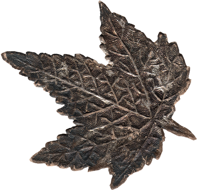 Maple Leaf (638x624)