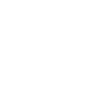 White Maple Leaf Symbol - White Maple Leaf Png (342x352)