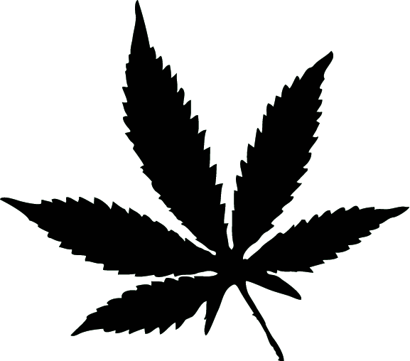 Drawn Leaves Transparent - Marijuana Leaf Silhouette (577x508)