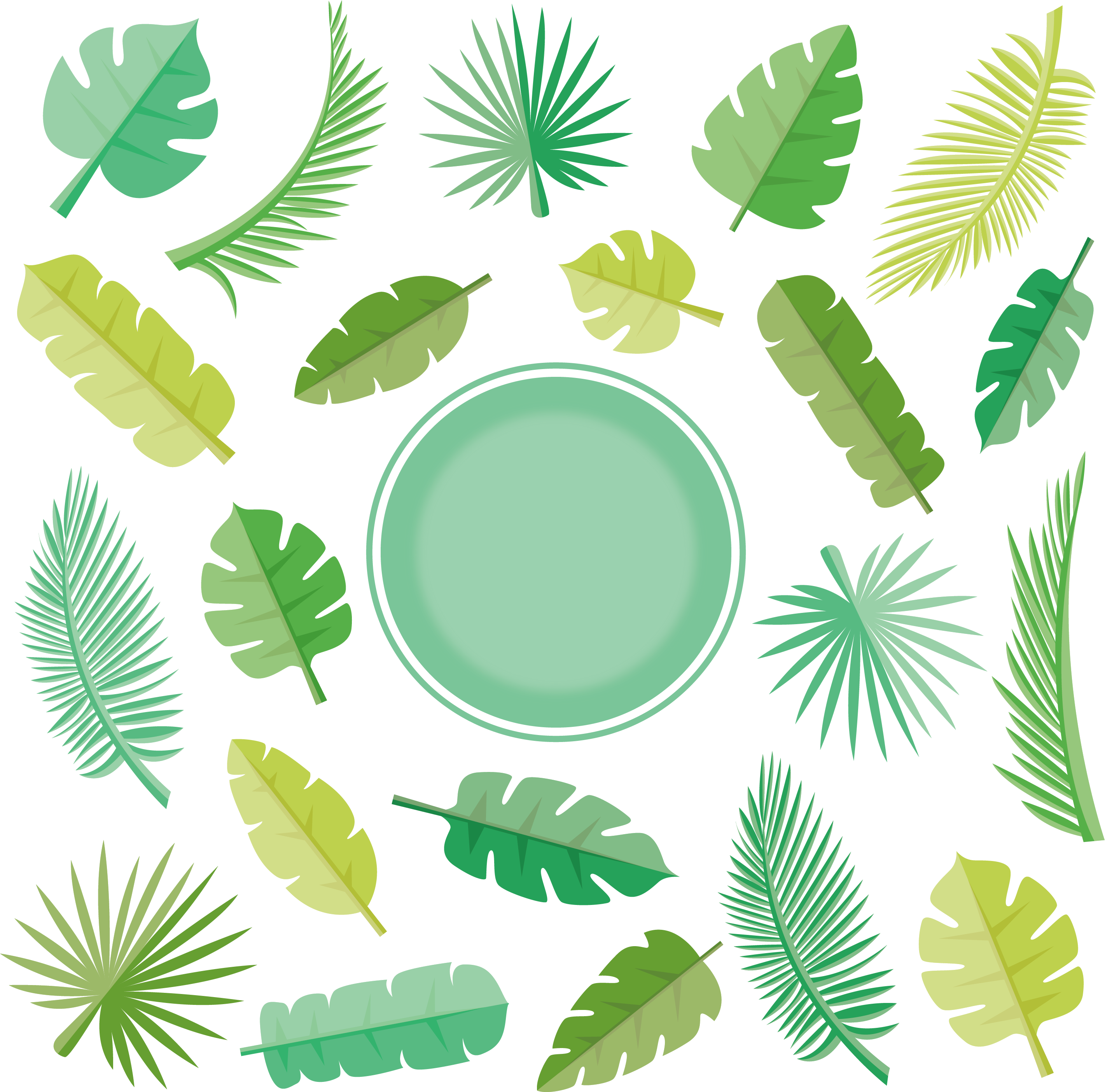 Leaf Euclidean Vector Arecaceae - Coconut Leaf Vector (2842x2808)