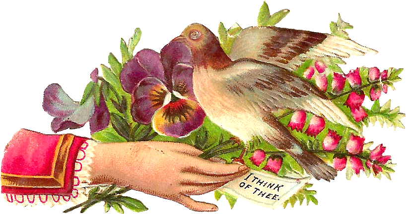 Free Bird Clip Art - Victorian Hand Art (994x599)