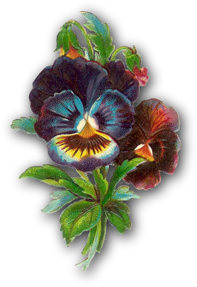 Free Flower Clip Art - Victorian Flowers Clip Art (895x1275)