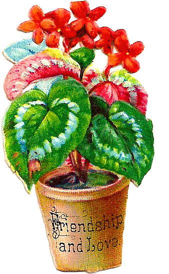 Free Flower Graphic - Flowerpot (658x846)
