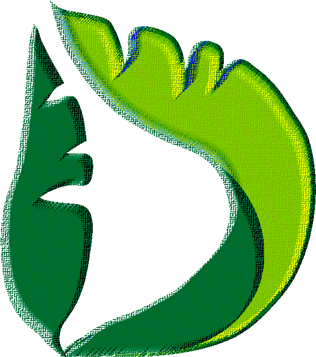 D Banana Leaves - D Banana Leaves (698x780)