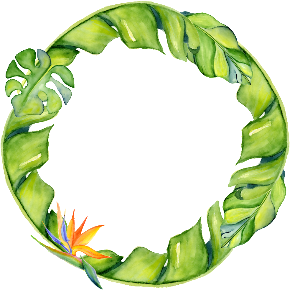 Hand-painted Banana Leaf Circle Png Transparent - Leaf (1024x1024)