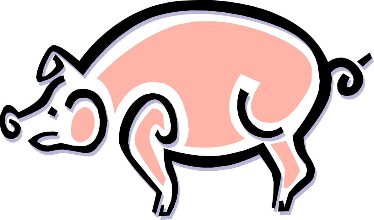 Vector Illustration Of Farm Agriculture Livestock Animal - Pig (1191x700)
