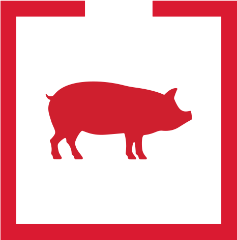 How Do I Build A Pig Pen - Pig (480x480)