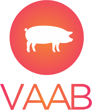 Swine › Vaab - Infomedia 18 (319x378)