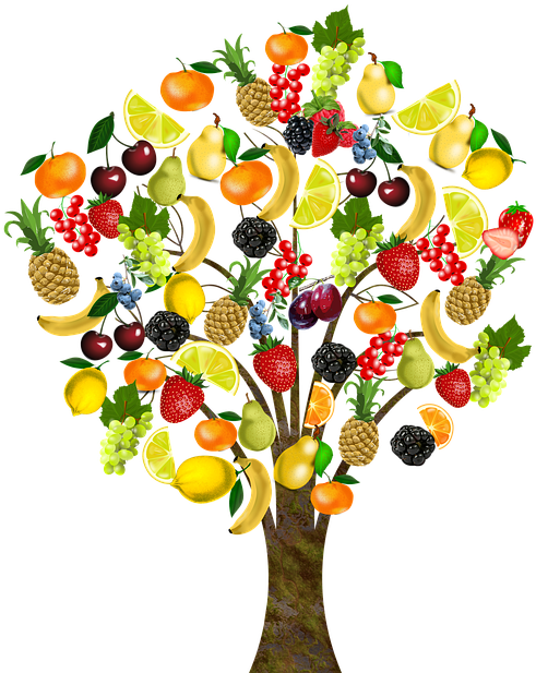 Tree Of Life Clipart 27, - Arbol De Frutas Png (960x640)