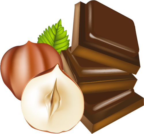 Choco Hazelnut Carton (500x466)