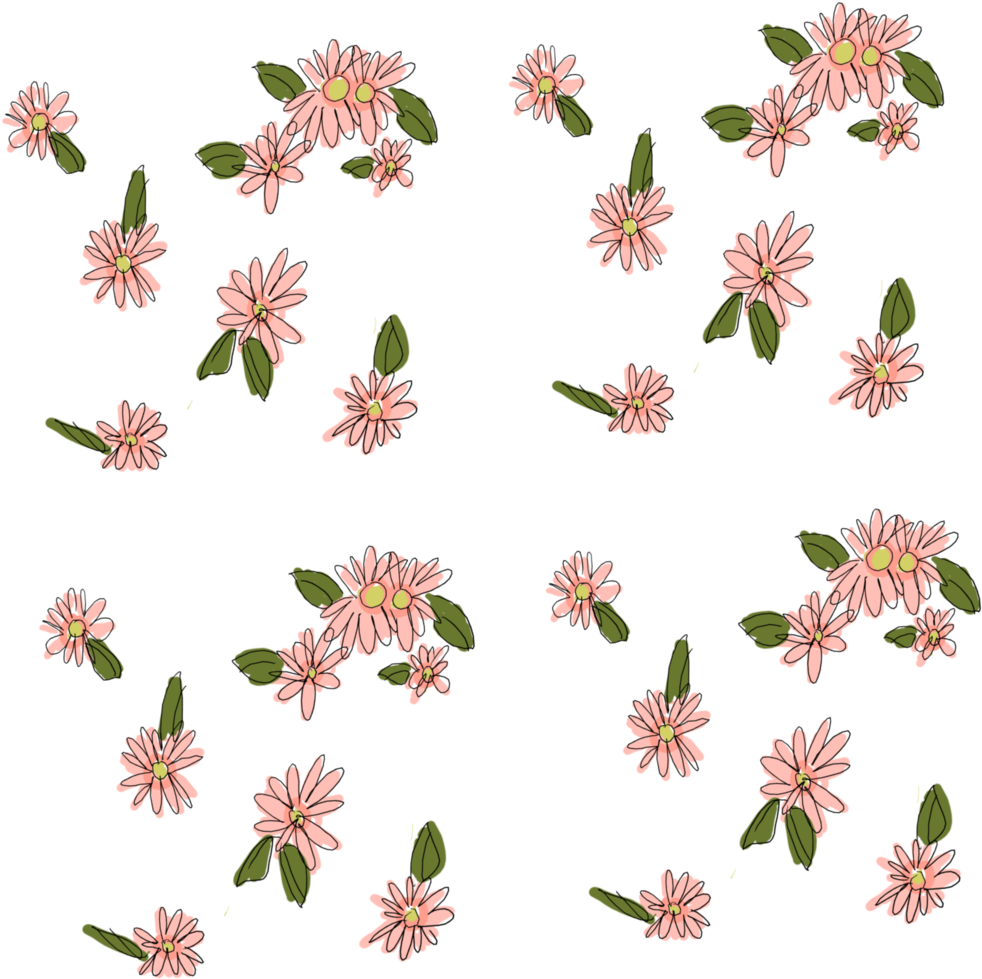 Flower Petal Plant Stem - Flower (1016x1024)