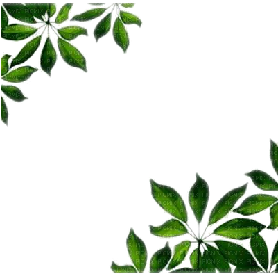 Leaf Frame Wonderful Picture Images - Green Leaves Border Png (400x400)