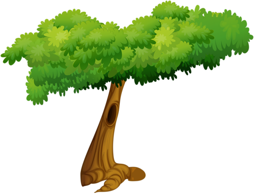 Wall Wooden Shelves And Tree Pattern With Birds - Tree (500x381)