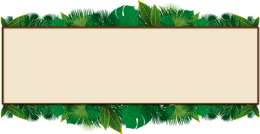 Tropical Jungle Palm Tree Leaves Frame Stock Image - Palm Trees (911x470)