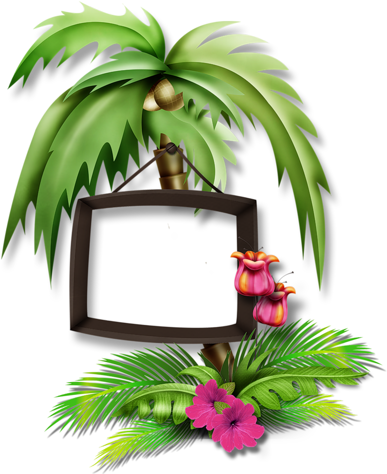 Coconut Tree Png Images Transparent Free Download - Gi Tube Cadre Pour Créations (1024x1024)