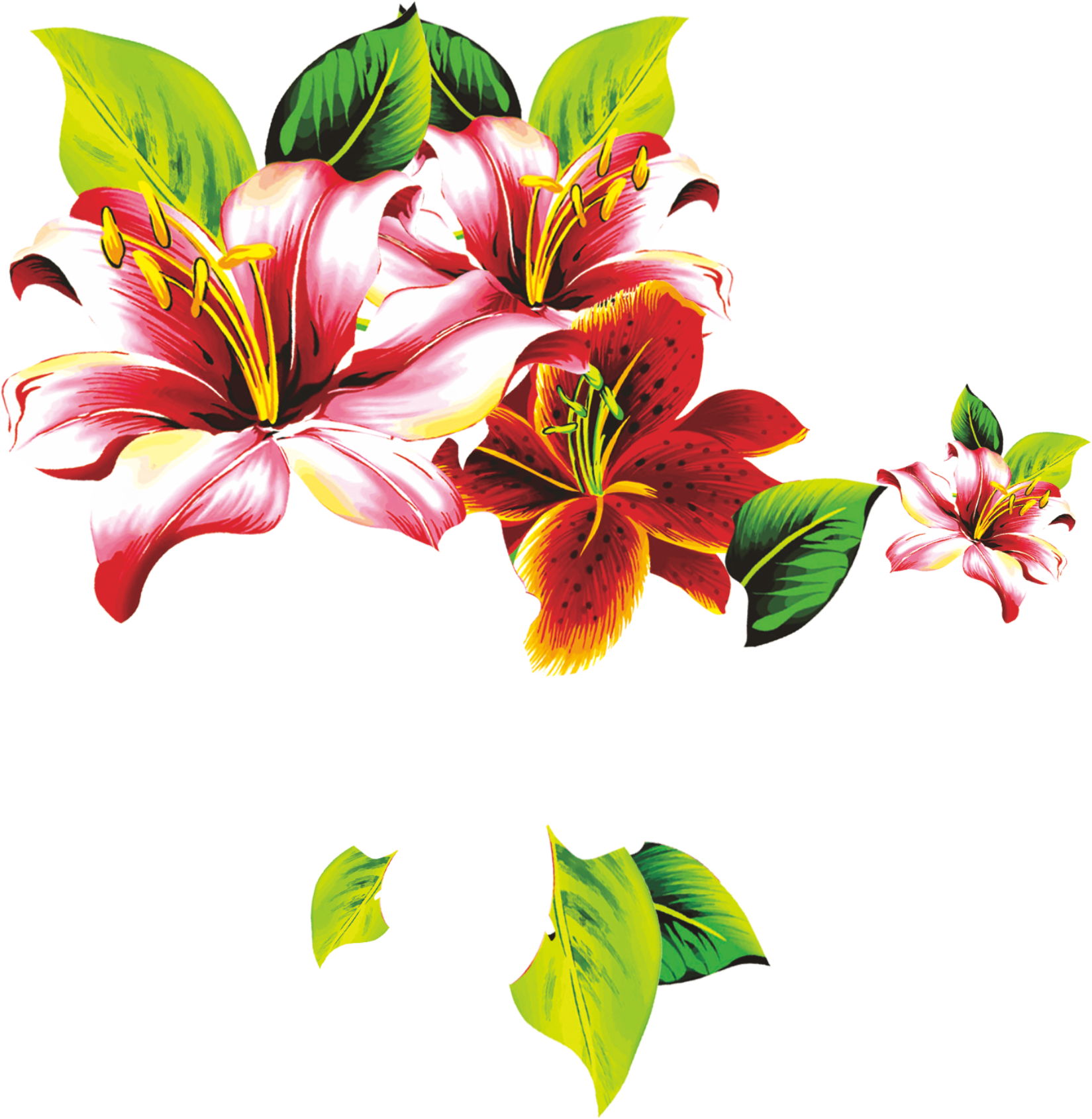 Floral Design Lilium Petal Flower - Flowers. Coloring For Kids (1649x1690)