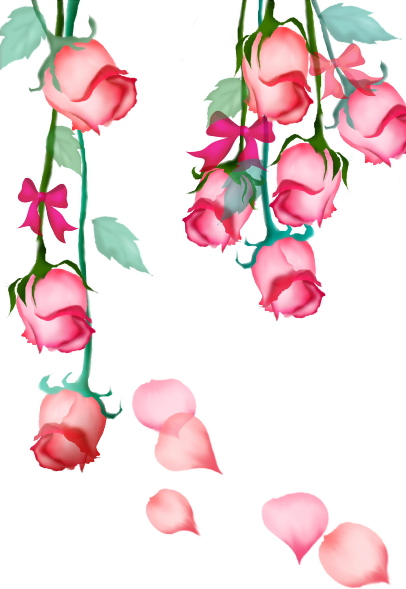 Garden Roses Beach Rose Pink Petal Flower - Rose (1417x2126)