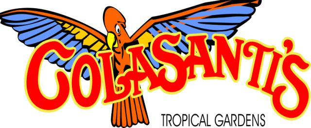 Family Day Weekend - Colasanti's Logo (640x264)