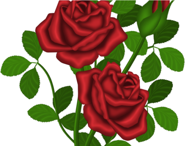 Red Rose Clipart Art Craft - ดอก กุหลาบ Clipart (640x480)