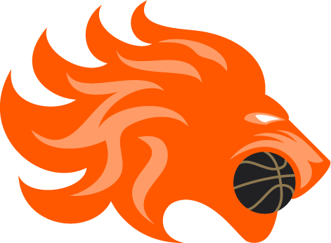 Netherlands National Basketball Team (471x346)