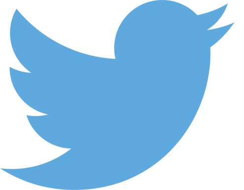 Eversure On Facebook Eversure On Twitter - Twitter Logo 2017 Png (495x386)