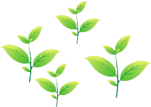 Tea Leaf Animation - Tea (600x499)
