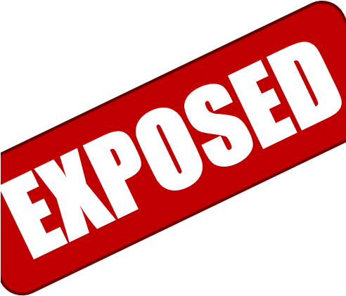 Nintendrones Exposed - Nintendrones Exposed (491x491)