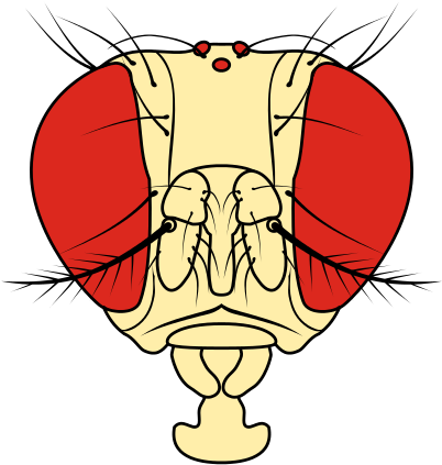 230 × 240 Pixels - Cartoon (461x480)