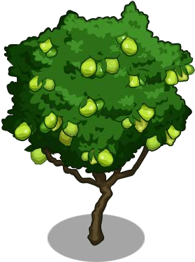 Lemon Tree Clipart - Guava Tree Clipart (300x400)