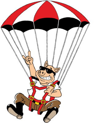 Rock Am Roer - Parachuting (357x500)