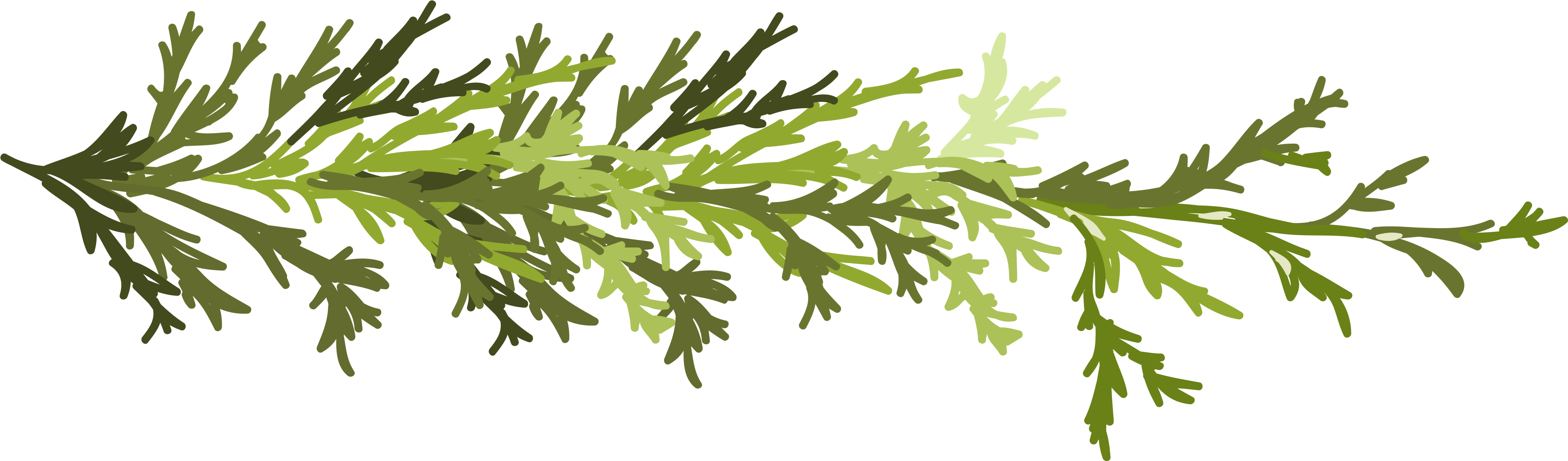 Twig Leaf Clip Art - Clip Art (4000x4000)