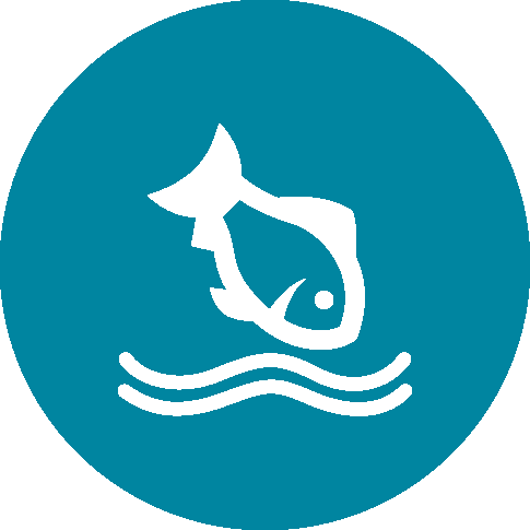 Fishing Is One Of New Zealand's Most Popular Recreational - Twitter Icon For Html (485x485)