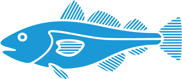 General Comments - Vector Graphics (1000x566)