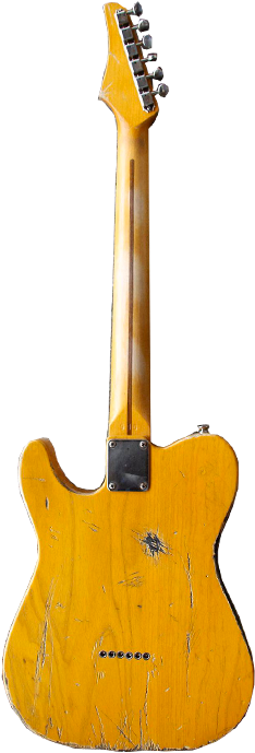 Tele Cat Back - Fender Stratocaster (247x715)