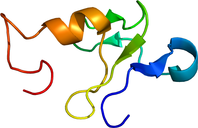Protein Data Bank (883x588)