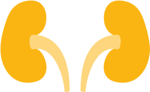 See How Afinitor Works - See How Afinitor Works (800x187)