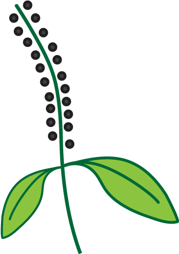 Cha Cha Chachia - Cha Cha Chachia (541x541)