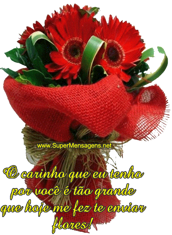 Confira A Mensagem Que Você Recebeu - De Flores Com Boa Noite (545x736)