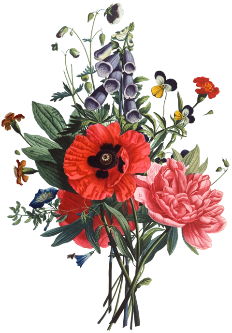 Open In Google Maps - Flower Bouquet Drawing (480x688)
