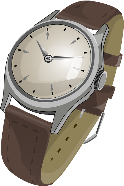 Watch Clipart Free Free Watches Cliparts Download Free - Watch Clipart Png (428x640)