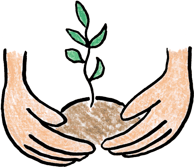 Growing Plant Clipart - Planting Clip Art (650x558)
