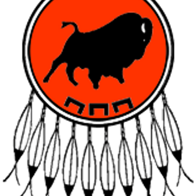 Piikani Nation - Piikani Nation Flag (400x400)