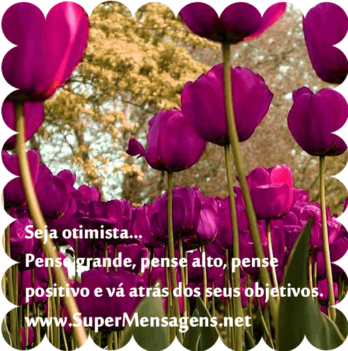 Mostrar Código Html - Mensagem De Paz E Otimismo (498x504)