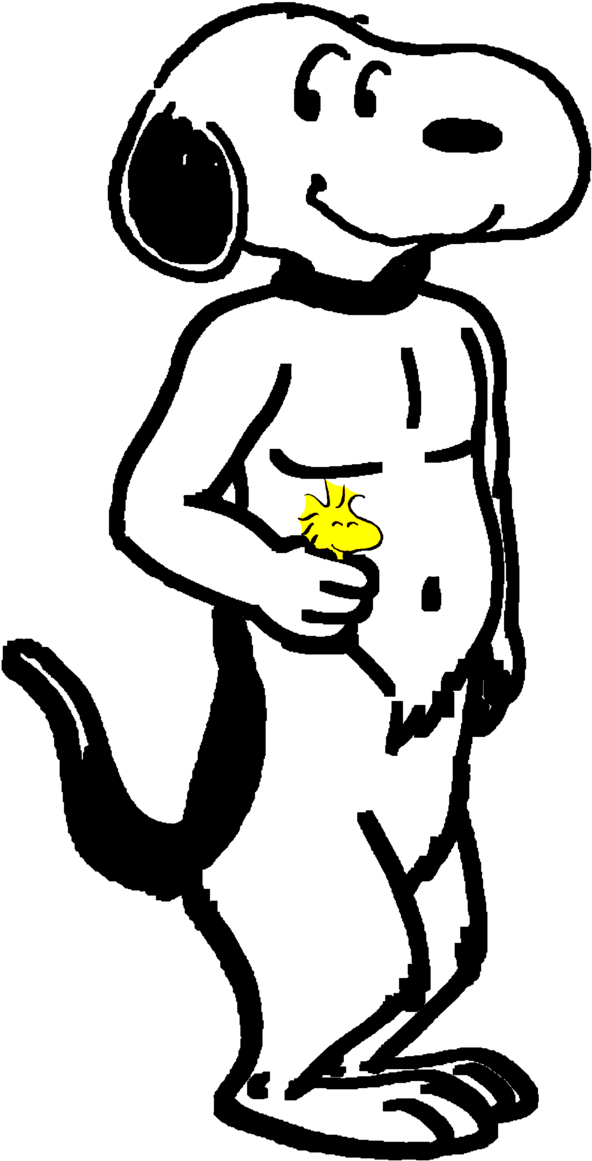Snoopy And His Adventure Partner Woodstock By Bradsnoopy97 - Snoopy (665x1202)