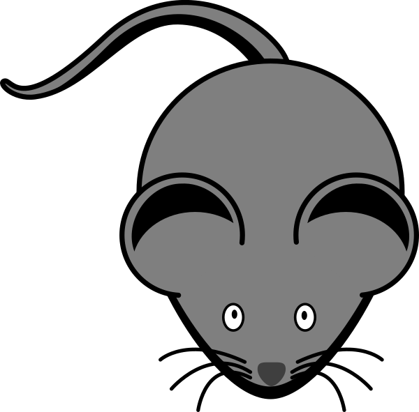 Raton Gris (600x591)