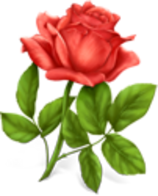Rose Flower Vector Png - New Married Couple Wishes (323x400)