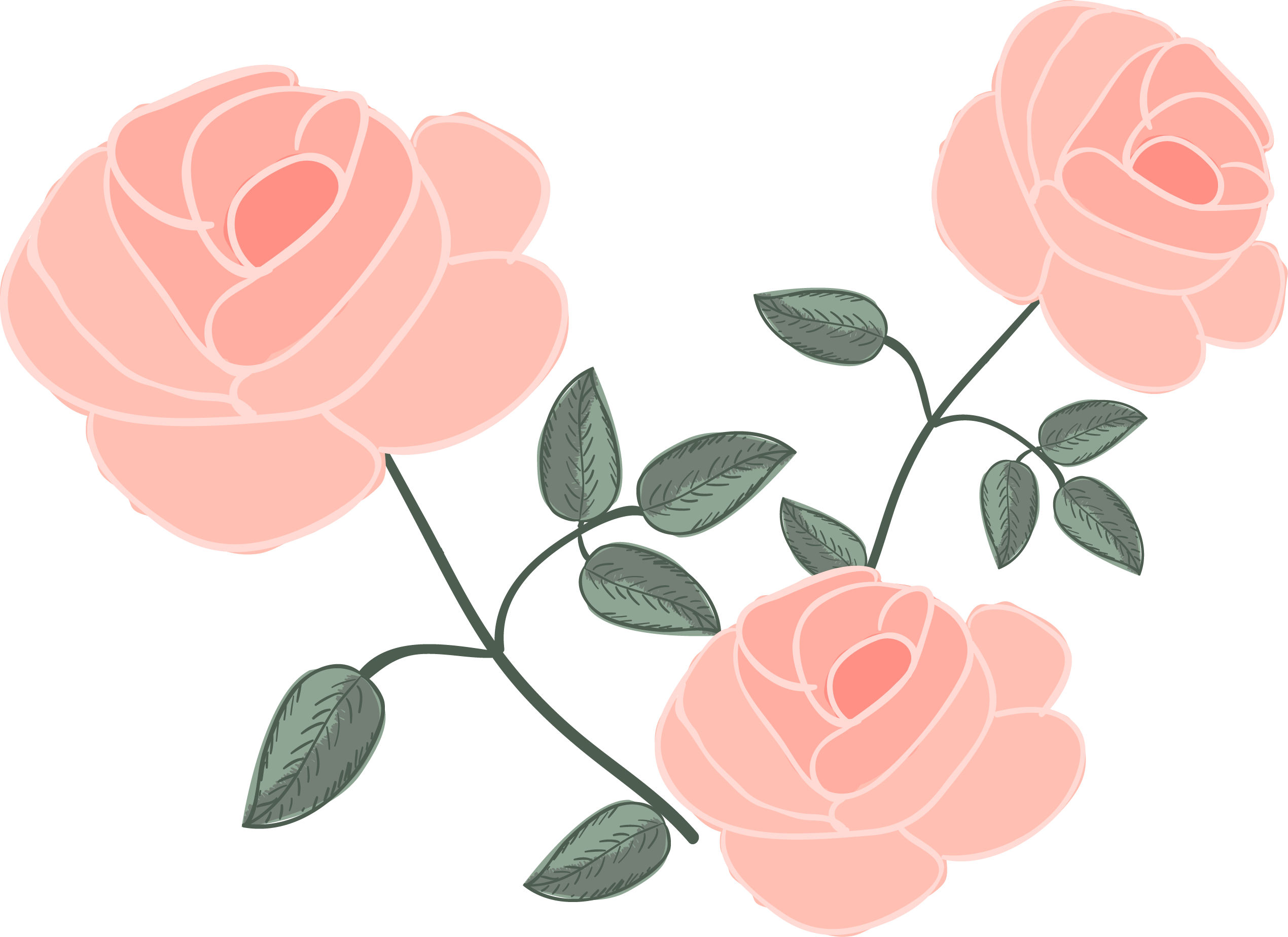 Rose Flower Euclidean Vector Drawing - Shabby Chic Floral Vector Free (2540x1848)