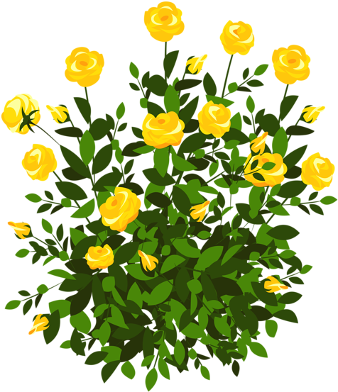 Yellow Rose Bush Png Clipart Picture - Flower Plant Png Clipart (536x600)
