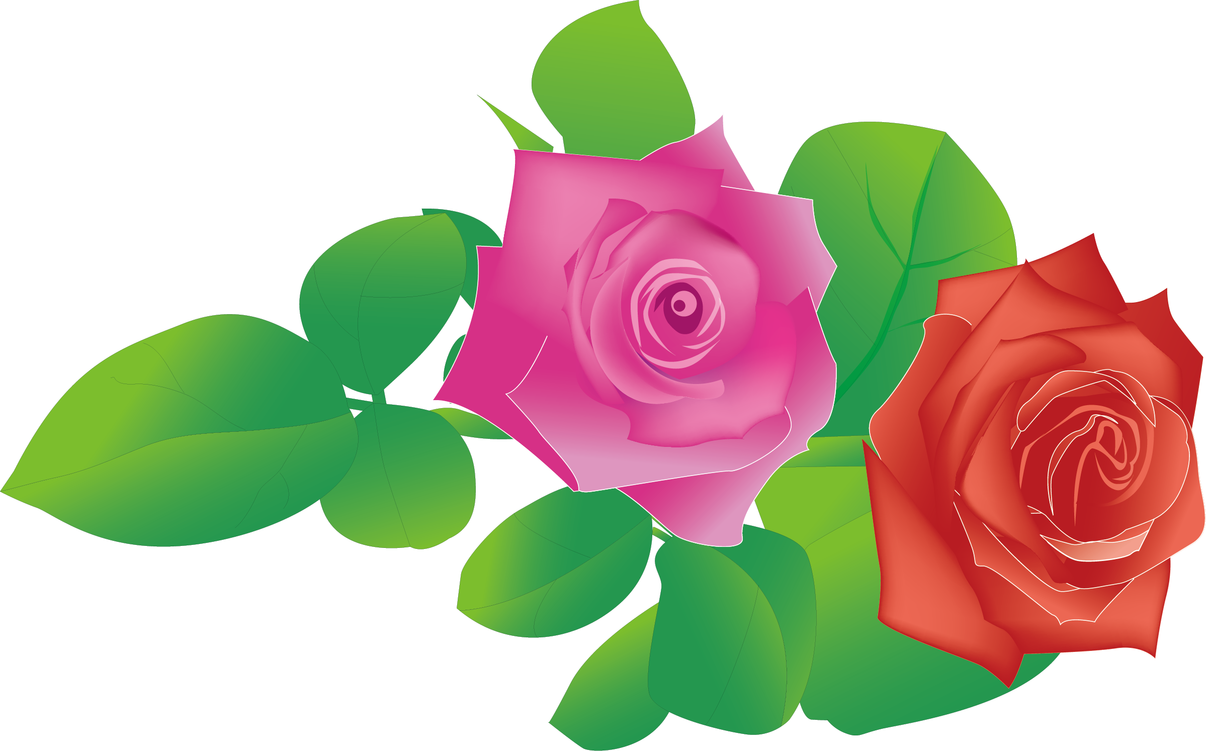 Garden Roses Beach Rose - Rose (2398x1494)